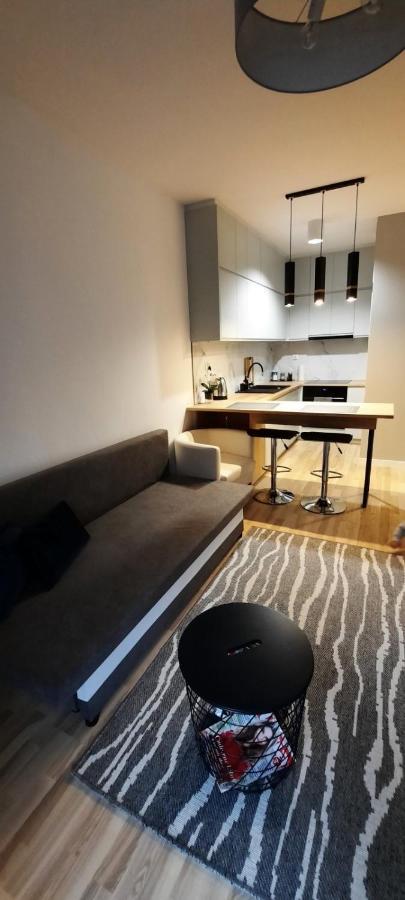 Apartament Wiosenna Бялисток Екстериор снимка